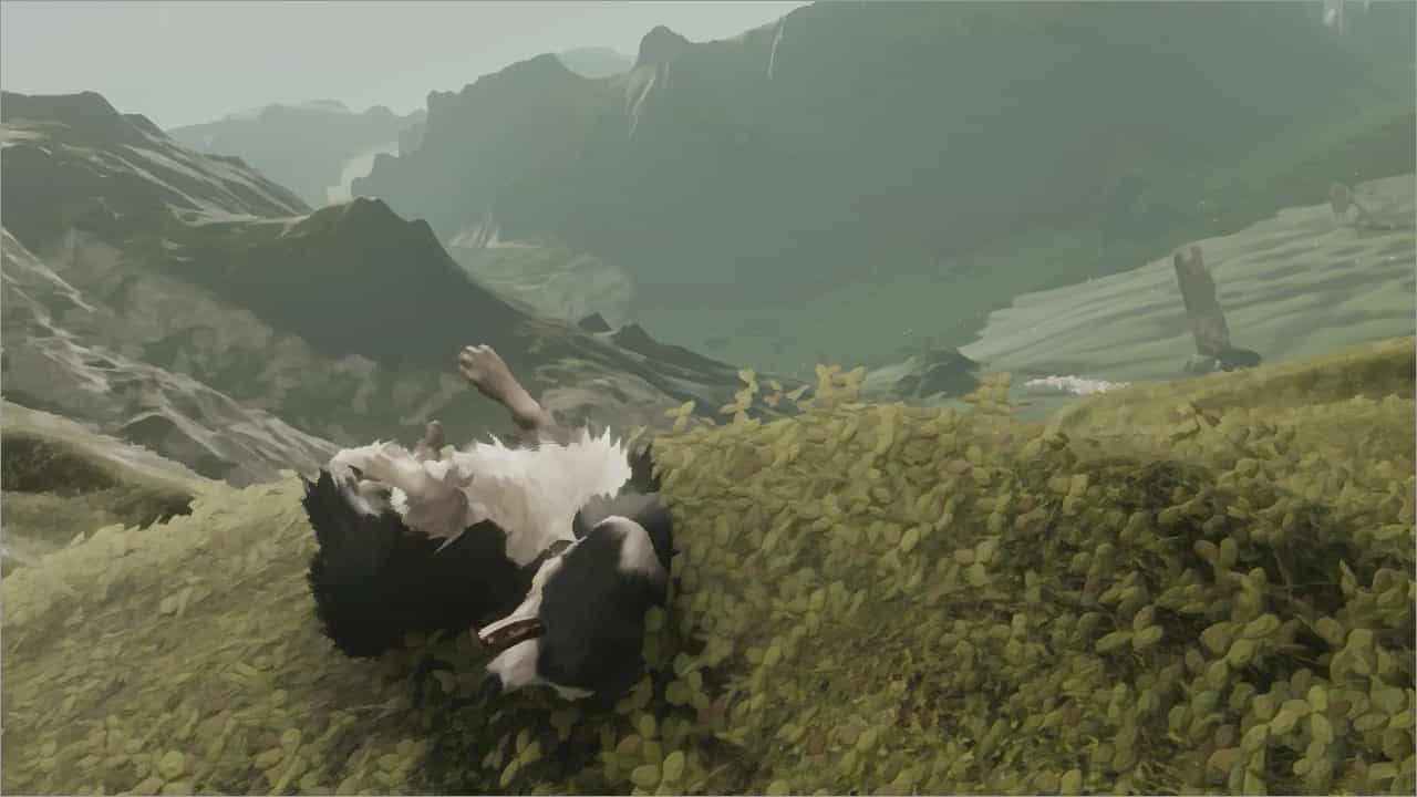 Your new best friend